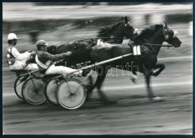 cca 1979 Hegedűs Márton ,,Ügető" című, vintage fotóművészeti alkotása, ezüst zselatinos fotópapíron, feliratozva, 16,6x24 cm