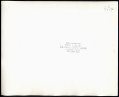 cca 1980 Feri Lukas, Londonban élt és dolgozott magyar fotográfus pecsétjével jelzett vintage fotó, ...