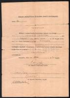 1945 Bp., igazolóbizottsági határozat a Braun Testvérek Rt. tisztviselője részére