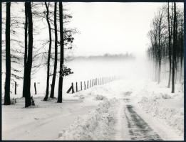 cca 1977 Nervetti Károly székesfehérvári fotóművész ,,Téli Vértes" című, vintage fotóművészeti alkotása, ezüst zselatinos fotópapíron, feliratozva, 18x24 cm