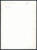 cca 1976 Nagy Sándor szegedi fotóművész ,,Filodendron" című, vintage fotóművészeti alkotása, ez...