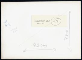 cca 1980 Szandelszky Béla pecsétjével jelzett vintage fotó, ezüst zselatinos fotópapíron, (Gesztenye...