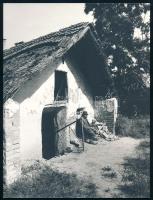 1974 Ignáth Márton leninvárosi fotóművész pecsétjével jelzett, vintage fotóművészeti alkotás (Magányosan), ezüst zselatinos fotópapíron; a kép a Népművelési Intézet által, Szekszárdon megrendezett központi fotós alkotótelep (eredeti fotókat tartalmazó) albumából származik, 24x18 cm