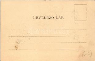 Szatmárhegy, Viile Satu Mare; Városháza. Lővy M. kiadása / town hall (fl)