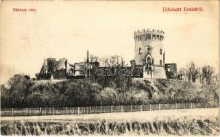 1912 Erdőd, Károlyierdőd, Ardud (Szatmár); Erdődvár, Rákóczi vár, Petőfi torony. Cseplák Bálintné kiadása / Cetatea Ardud (Castelul Károlyi) / castle, tower (r)