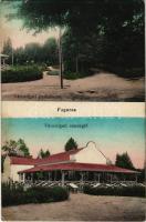 1917 Fogaras, Fagaras; Városligeti vendéglő és park. Fleissig Jakab és Fia kiadása / park restaurant (kis szakadás / small tear)