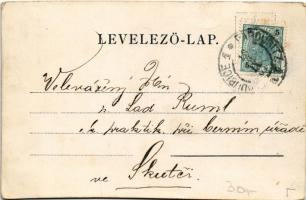 1901 Szatmárnémeti, Satu Mare; Szamospart. Löwy M. / Somes riverside. Art Nouveau, floral, litho (vá...