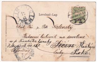 1901 Szatmárnémeti, Satu Mare; Szecessziós lóherés montázs. Reizer János kiadása / Art Nouveau, clov...