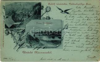 1899 (Vorläufer) Erdészvölgy, Kuzij (Lonka, Luh; Tisza-völgy, Máramaros); Rudolf trónörökös vadászkastélya, Tiszai Lanka. Kaufmann Ábrahám kiadása / hunting castle, Tisa river. Art Nouveau, floral (EK)