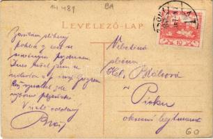 Pozsony, Pressburg, Bratislava; Vödriczvölgy II. Vödric tó, csónakok. Kaufmann kiadása / Weidritztha...