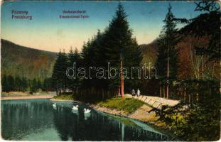 Pozsony, Pressburg, Bratislava; Vaskutacska tó / Eisenbrünnel Teich (Eisenbründl) / Zelezná Studienka / spa, lake (EK)