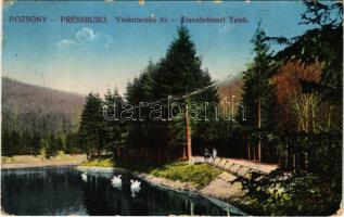 1917 Pozsony, Pressburg, Bratislava; Vaskutacska tó / Eisenbrünnel Teich (Eisenbründl) / Zelezná Studienka / spa, lake (fa)