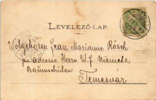 1904 Pöstyén, Piestany; Zenepavilon, zenekar. Lampl Gyula kiadása / Musikpavillon / music pavilion, ...