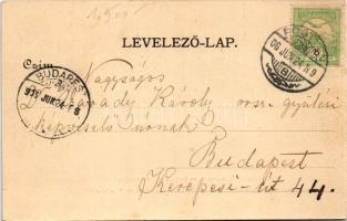 1906 Pöstyén, Piestany; Gyógyház és zenepavilon. Gipsz H. kiadása / Curhaus u. Musikpavillon / spa, ...