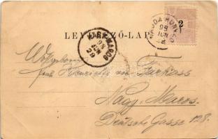 1898 (Vorläufer) Vajdahunyad, Hunedoara; vár. Schuller Adolf kiadása / castle (fa)