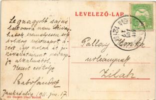 1911 Bihardiószeg, Diosig; Jankafalvi hegy, villa. Deutsch József kiadása / villa in Ianca + "N...