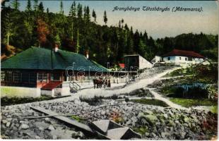 1921 Tótosbánya, Totos (Budfalva, Budesti, Máramaros); Mina de Aur / aranybánya / gold mine (EK)