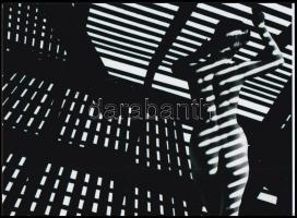 cca 1983 Zebracsíkos volt a divat, szolidan erotikus felvétel, 1 db modern fotónagyítás, 15x21 cm