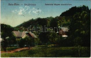 1928 Nagybánya, Baia Mare; Wagner szanatórium / sanatorium (fl)