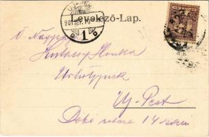 1901 Boksánbánya, Románbogsán, Németbogsán, Deutsch-Bogsan, Bocsa Montana; Rosner Adolf kiadása (EK)