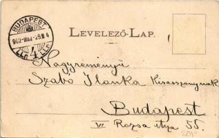 1902 Gyergyószentmiklós, Gheorgheni; Kórház. Kricsa Péter kiadása / hospital (kis szakadás / small t...