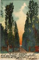 1904 Buziás, Sétány a meleg fürdőhöz. Huzly István kiadása / promenade to the spa (EK)