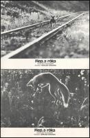 cca 1978 ,,Flep, a róka" című japán természetfilm jelenetei, 8 db produkciós filmfotó nyomdatechnikával sokszorosítva, egyoldalas nyomással, kartonlapra, a használatból eredő (esetleges) kisebb hibákkal, 18x24 cm