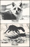 cca 1978 ,,Flep, a róka" című japán természetfilm jelenetei, 8 db produkciós filmfotó nyomdatec...