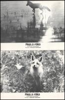 cca 1978 ,,Flep, a róka" című japán természetfilm jelenetei, 8 db produkciós filmfotó nyomdatec...