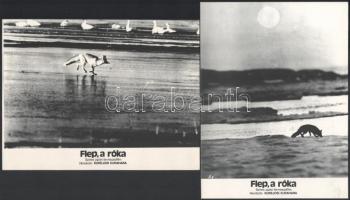 cca 1978 ,,Flep, a róka" című japán természetfilm jelenetei, 8 db produkciós filmfotó nyomdatec...