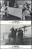 cca 1982 ,,A bestia" című lengyel film jelenetei és szereplői, 5 db produkciós filmfotó nyomdatechnikával sokszorosítva, egyoldalas nyomással, kartonlapra, a használatból eredő (esetleges) kisebb hibákkal, 18x24 cm