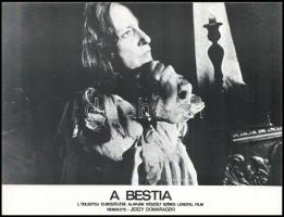 cca 1982 ,,A bestia" című lengyel film jelenetei és szereplői, 5 db produkciós filmfotó nyomdat...