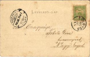 1902 Borszék, Borsec; Villa Szini (EK)