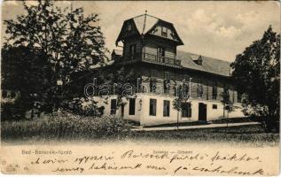 1908 Borszék-fürdő, Baile Borsec; Székház / Ortsamt / town hall (EK)