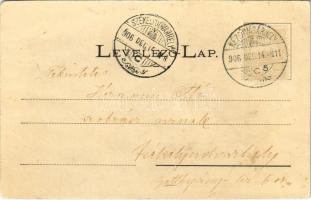 1906 Borszék-fürdő, Baile Borsec; Árkoza-tető (Hazanéző-tető). Bogdánffy István kiadása / Arcoza mou...