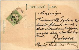 1905 Lugos, Lugoj; Spanyol malom. Auspitz Adolf kiadása / Spanish mill