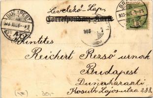 1903 Brassó, Kronstadt, Brasov; Lövölde, Árokmenti kirándulási hely, vendéglő, bor és sörcsarnok. Sz...