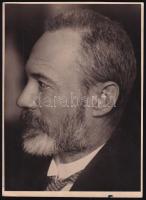 Kallós Oszkár (József főherceg udvari fotósa): Férfi portré pecséttel jelzett vintage fotó 24x18 cm