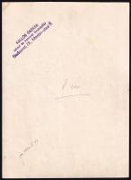 Kallós Oszkár (József főherceg udvari fotósa): Férfi portré pecséttel jelzett vintage fotó 24x18 cm