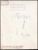 1940 Vadas Ernő (1899-1962) A Tavasz báránykái. Pecséttel jelzett vintage fotó 24x18 cm