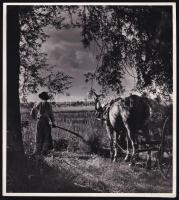 1935 Vadas Ernő (1899-1962) Szántás. Pecséttel jelzett vintage fotó 19x19 cm