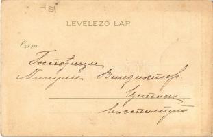 1900 Kolozsvár, Cluj; látkép / general view. Kunstanstalt Kosmos 75. litho s: Geiger R. (fa)