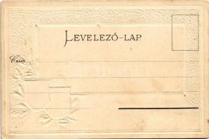 1903 Kolozsvár, Cluj; látkép. Boskovitz Lajos kiadása. Szecessziós címeres litho keret / general vie...