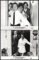 cca 1971 ,,A vénlány és az agglegény" című francia - olasz film jelenetei és szereplői, 7 db vintage produkciós filmfotó ezüst zselatinos fotópapíron, a használatból eredő (esetleges) kisebb hibákkal, 18x24 cm