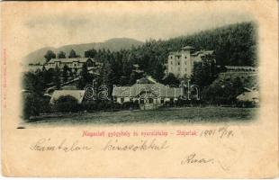 1901 Stájerlak, Steierlak, Stájerlakanina, Steierdorf, Anina; Magaslati gyógyhely és nyaralótelep. Hollschütz kiadása / spa, holiday resort (EK)