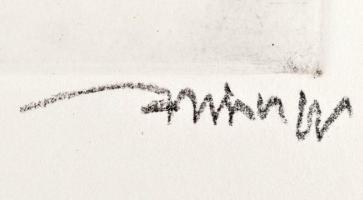 Hincz Gyula (1904-1986): Rákóczy francia tiszteketfogad. Rézkarc, papír, jelzett. 20×29 cm