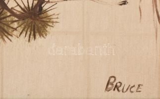 Bruce jelzéssel: Vadmadarak. Olaj, vászon. Dekoratív fa keretben 30x40 cm