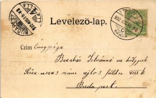 1902 Sugásfürdő, Baile Sugas (Sepsiszentgyörgy, Sfantu Gheorghe); Meleg és hideg fürdő. Benkő M. kia...