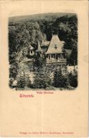 Borszék, Borsec; Villa Otroban. Verlag v. Julius Müller's Nachfolger (EK)