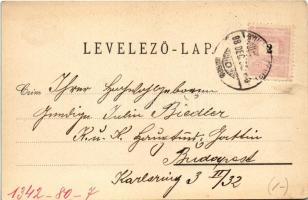 1898 (Vorläufer) Gyulafehérvár, Karlsburg, Alba Iulia; Losenau emlékmű, Belső várkapu / Denkmal, Inn...